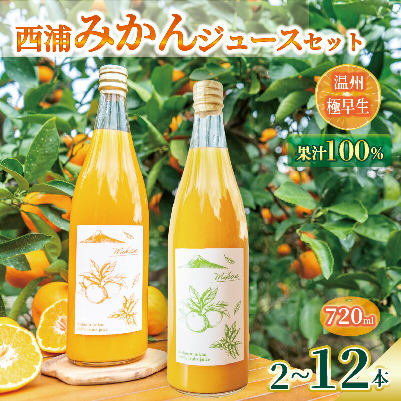 【ふるさと納税】【先行予約_1月中旬発送】オレンジ ジュース ストレート 果汁 100％ 温州 極早生 みかん 720ml × 2 ~ 12 本 飲み比べ セット 西浦 蜜柑 濃厚 飲み物 ミカン 人気 贈答用 静岡 沼津