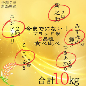 令和7年 新潟県産米5品種食べ比べセット 10kg（2kg×5種類） 食べ比べブランド米はコシヒカリ 新之助 こしいぶき つきあかり みずほの輝き 白米 精米 送料無料 上越市 米ヴィレッジさんわ