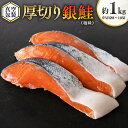 【ふるさと納税】厚切り 銀鮭 の 切り身 【 半尾 】約 1kg （ 8切 ～ 10切 ） 鮭 切身 半身 厳選 甘塩 さけ サケ しゃけ シャケ 冷凍 真空 時短 弁当 おつまみ 魚 魚介