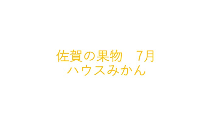 
佐賀の果物　7月　ハウスみかん
