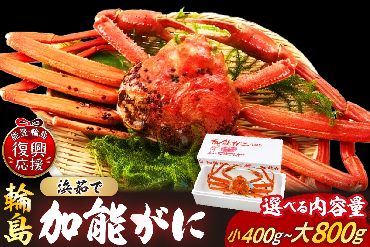
                  【先行予約】【選べる配送時期・内容量】浜茹で 加能ガニ(雄ズワイガニ) 蟹 加能ガニ 加能 雄 オス おす ズワイガニ ずわいがに かに 蟹みそ ゆで 茹で ボイル 海鮮 魚介 海産物 能登 輪島 石川県
                