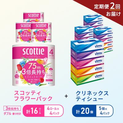 ふるさと納税 岩沼市 【6ヶ月ごと計2回お届け】ティッシュ+トイレットペーパー4P   [No.5704-1779]