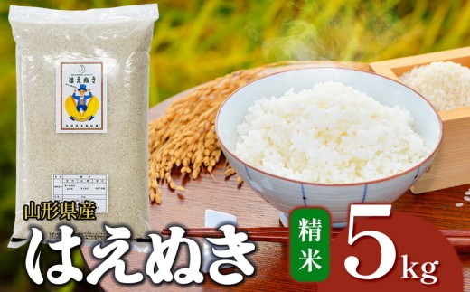 【SDGs企画】【令和7年産】はえぬき 精米 5kg (5kg×1袋)　山形県産 | 5キロ 米 お米 コメ 白米 食品 ご飯 ごはん 美味しい おいしい ブランド米 エコ包装 おすすめ 人気 山形県 鶴岡市 東北 国産 お取り寄せ SDGs未来都市鶴岡 返礼品