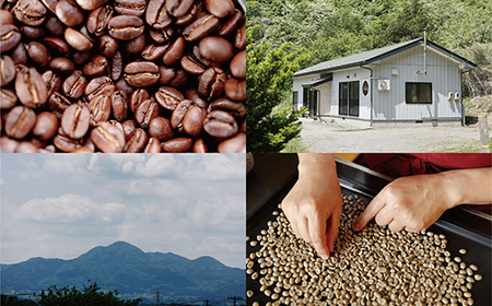 ケニア AA400g 【深煎】 ※挽き豆 【お菓子と自家焙煎コーヒー ソカロ】 飲料類 ドリンク 飲み物 コーヒー豆 珈琲豆 深煎り 甘さ コク コーヒータイム  F21U-628