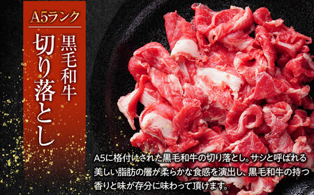 A5ランク黒毛和牛切り落とし400g【配送不可：離島】