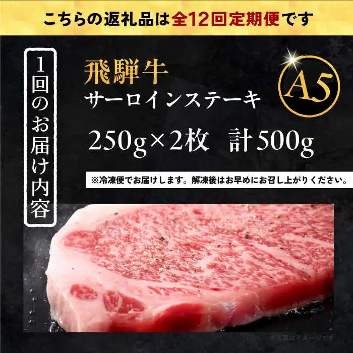 【12回定期便】 飛騨牛 サーロインステーキ (A5ランク) 1パック (250g×2枚) / 恵那市 / 岩島屋 [AUAJ029]