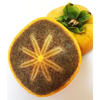 ふるさと納税 橋本市 【2026年10月以降発送】あさみ農園の紀の川柿　11〜15個 |  | 01