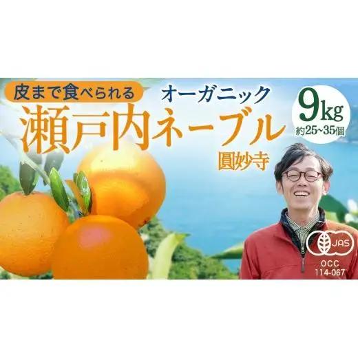【 先行予約 】 瀬戸内 オーガニック 圓妙寺 ネーブル 9kg ( 25～35個程度 )+お試しオーガニックレモン1個 【2027年1月中旬以降発送】 