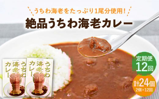 【全12回定期便】【ウチワエビ1尾分！！】絶品  ウチワエビカレー 計24個（2個セット/回） [KAA293]