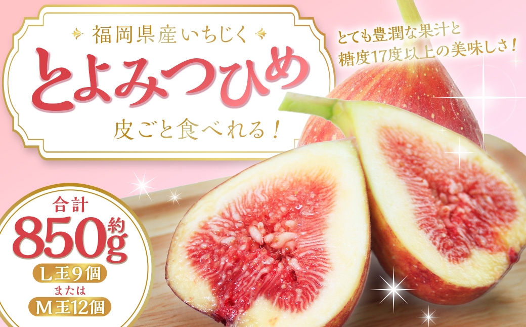 
                  皮ごと食べれる！とよみつひめ 850g前後 【 2026年7月下旬～9月上旬発送予定 】 いちじく 無花果 果汁 糖度 ビタミン ペクチン 消化酵素 ビタミン類 国産 福岡県産 くだもの 果物 フルーツ カルシウム 鉄分 灰分 ミネラル
                