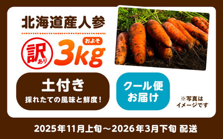 北海道 訳ありにんじん 3kg（土付き）にんじん にんじん にんじん [BEBA004] 