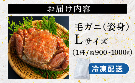 毛ガニ（姿身）Lサイズ 1尾　ogm-017