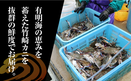 【数量限定】有明海からの贈り物 竹崎かに 800g / 蟹 / 佐賀県 / 宗徳丸 [41ATAF001]
