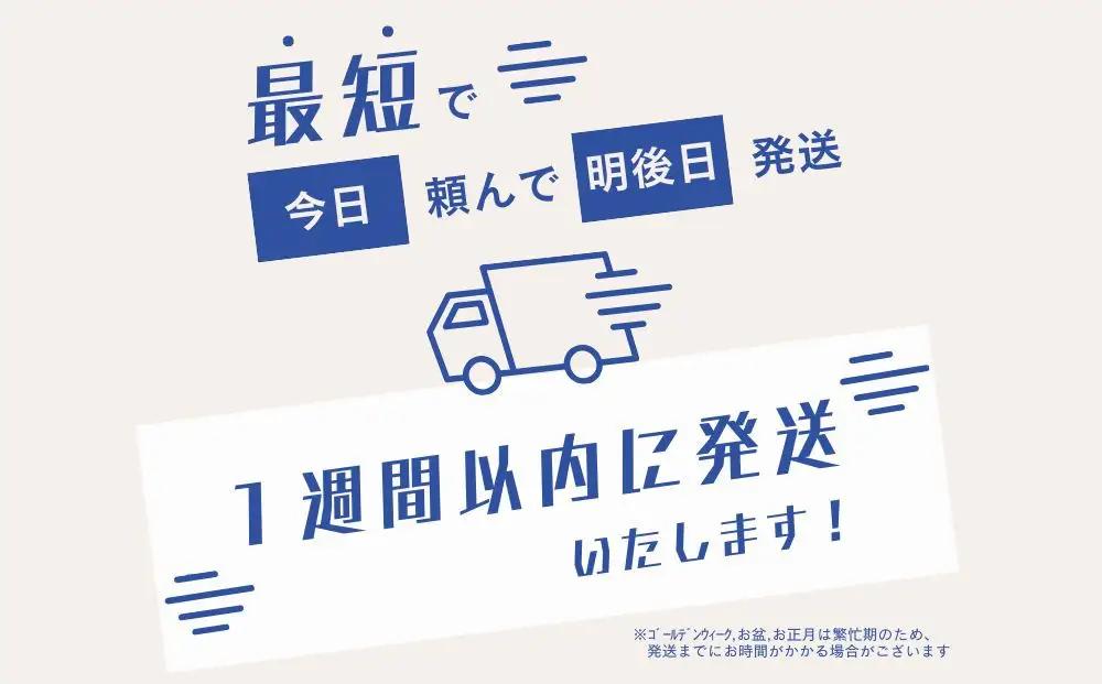 訳あり 銀鮭切り身 味付け 家庭用・弁当に最適 5kg 銀鮭