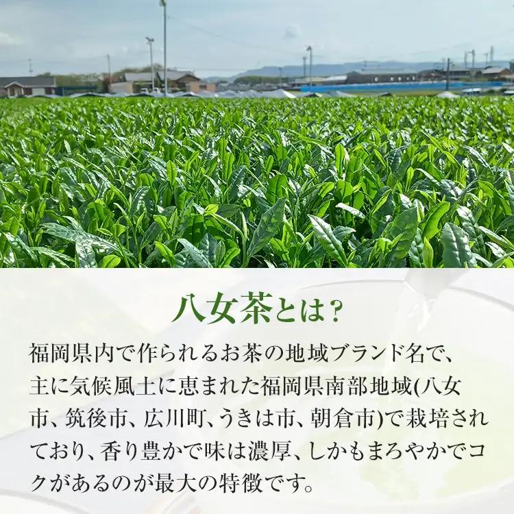 【八女茶】原田茶園 玉露ティーバッグ 雅歌 56g 2袋（4g×7）×2 八女 ティーバッグ 玉露 福岡 お茶