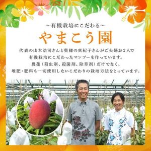 先行予約【有機JAS認証】オーガニックマンゴー2kg（4～5玉）【2024年7月発送】