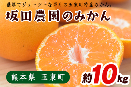 熊本県玉東町産限定『坂田農園』のみかん 大容量 約10kg(2S-Lサイズ) 予約受付中 フルーツ 秋 旬 ジャム ゼリー 玉東町70年のベテラン！濃厚な食味とジューシーな果汁 熊本県玉東町《10月上旬-1月末頃出荷》---sg_sktsmk_af101_25_13500_10kg---