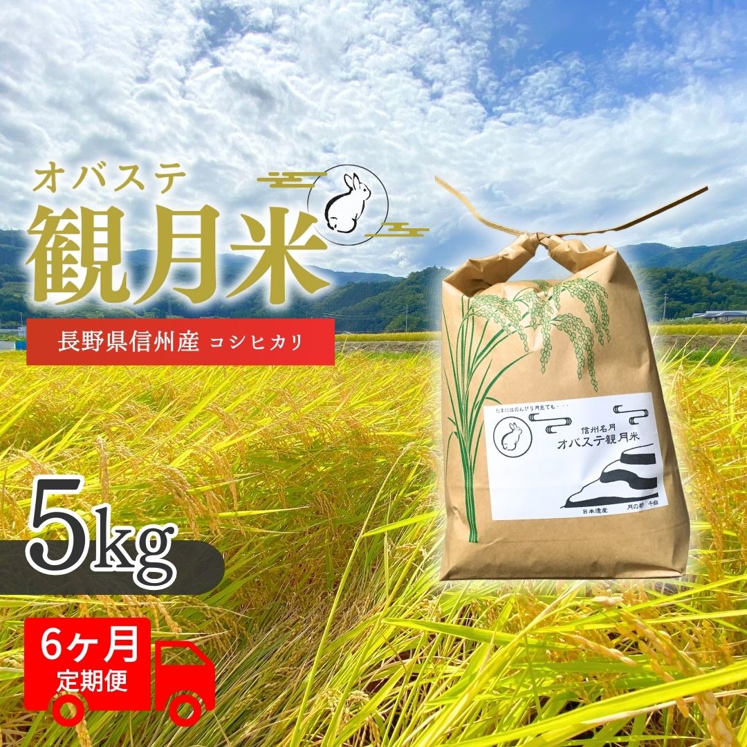 【ふるさと納税】【令和7年産 新米予約】【定期便6ヶ月】贅沢な棚田のお米 オバステ観月 (5kg) 精米 白米 コシヒカリ 姨捨 信州 千曲市 長野県産