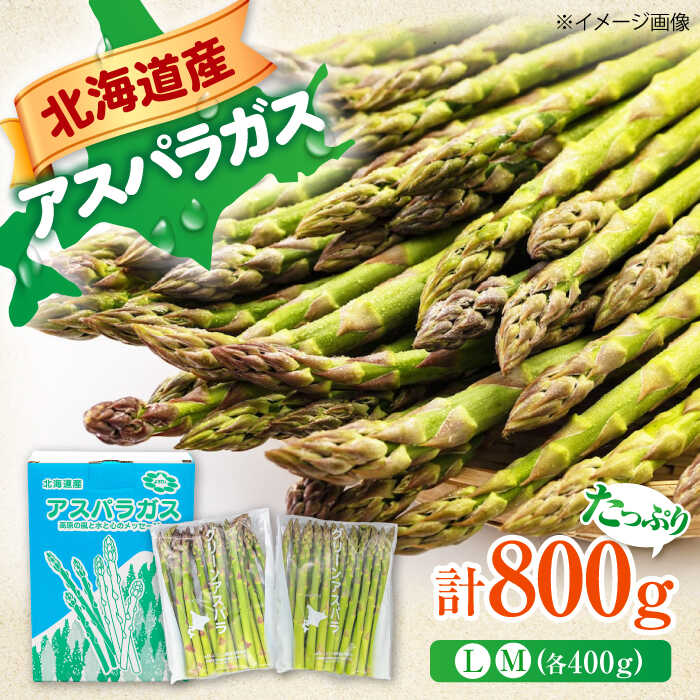 【ふるさと納税】【6月上旬以降順次発送】北海道 グリーンアスパラガス 800g LM サイズ 各400g 《喜茂別町》【Aコープようてい】 アスパラ アスパラガス 野菜 セット 詰め合わせ 北海道 先行予約 春野菜 季節の野菜 [AJAK002] 11000 11000円