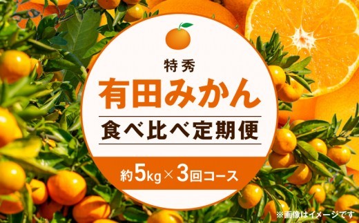 【定期便】(2026年10月発送スタート)【特秀 約5kg×3回コース】有田みかん・食べくらべ3種【南泰園】_ZF6302n