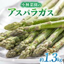 【ふるさと納税】先行予約【小林菜園】農家直送！アスパラガス1.3kg（L～3Lサイズ）｜2025年3月末以降発送