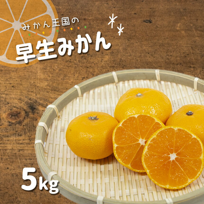 【ふるさと納税】 『 みかん王国 』 早生みかん 5kg | 果物 フルーツ 柑橘 早生 みかん ミカン 玉名 熊本 旬 送料無料