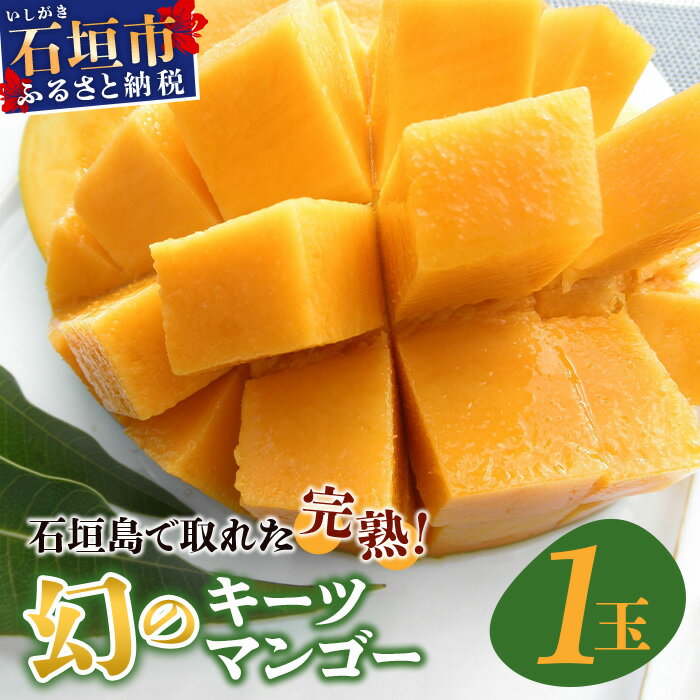 【ふるさと納税】《2026年7月下旬～8月下旬発送》[先行予約] 最高糖度23度！？ 完熟！7Lサイズ 幻のキーツマンゴー | 沖縄 石垣島 石垣 八重山 マンゴーキーツマンゴー 期間限定 数量限定 TV テレビ 紹介 マツコ 完熟 TF-3-1_R8