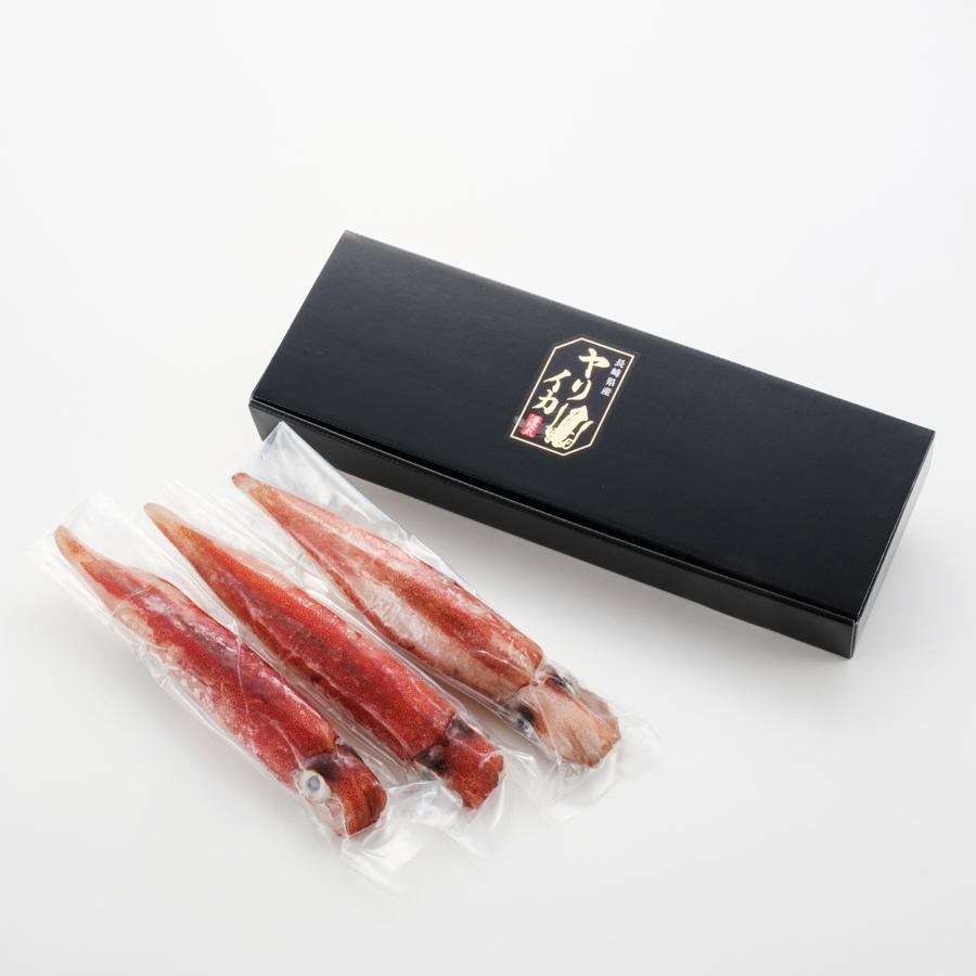長崎県産 極鮮ヤリイカ 500g(2～4匹)