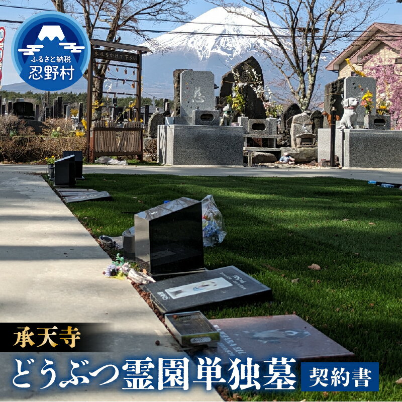 【ふるさと納税】忍野富士どうぶつ霊園単独墓 ペット供養 ペット墓地 愛犬 愛猫 お墓 納骨 承天寺 山梨県 忍野村