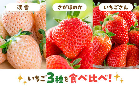 【先行予約】いちご 3品種 食べ比べセット【岸川農園】[IAP029]
