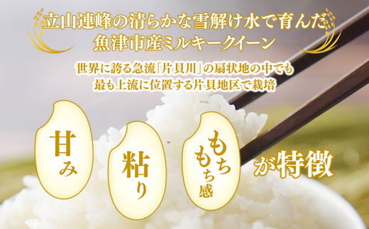 【6ヶ月定期便】【令和6年度米】「魚津のミルキークイーン（晃米）」20kg（白米） ｜ 環境配慮 MK農産 お米 ブランド米 銘柄米 精米 ご飯 おにぎり 産地直送 甘み 粘り もちもち ※2024年