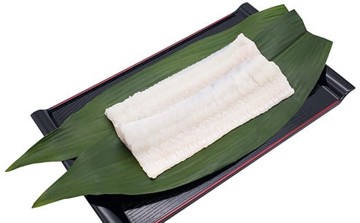 大分県産活じめ鱧（はも）1本物 たっぷり 1キロ 骨切り切身 ＜108-006＞