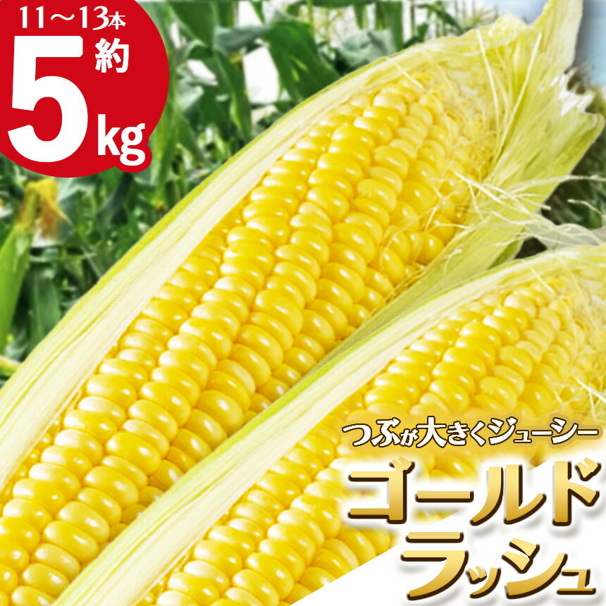 【ふるさと納税】 とうもろこし 下野市産 ゴールドラッシュ 約5kg(11～13本)【先行予約】【6月下旬から順次発送】 | 旬 野菜 送料無料 栃木県 下野市 特産 数量限定・期間限定 限定 ギフト スイートコーン