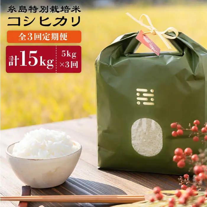 【全3回定期便】とくべつの中のとくべつ 糸島 特別栽培米 5kg （ コシヒカリ ）《糸島》【itoshimacco / 株式会社やました】 [ARJ025]
