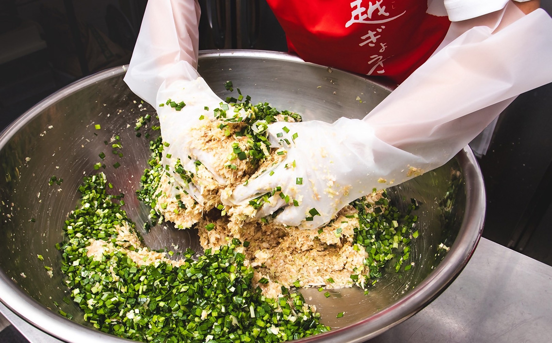 北越ぎょうざ詰め合わせ（大） ／ 餃子 ギョウザ ギョーザ 北越ぎょうざ 男前ぎょうざ 越谷ねぎぎょうざ えび餃子 中華惣菜 セット 旨み 肉汁 埼玉県 No.030