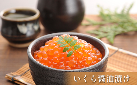 オホーツク枝幸の恵 高田商店《匠》セット 【 魚貝類 いくら 魚卵 帆立 ホタテ サーモン 鮭 北海道 オホーツク 枝幸 】