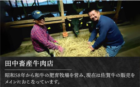 【全6回定期便】【隔月発送】佐賀牛 焼肉セット 1.0kg（霜降り・赤身 各500g）【田中畜産牛肉店】黒毛和牛 焼肉 バーベキュー BBQ[HBH123] 佐賀牛 牛肉 黒毛和牛 佐賀牛 牛肉 和牛