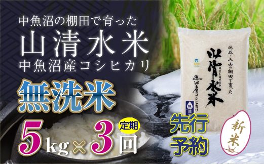 【先行新米予約】【定期便／全3回】無洗米5kg 新潟県魚沼産コシヒカリ「山清水米」 