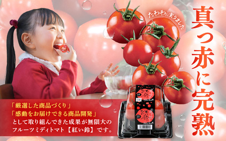 フルーツミディトマト 2kg（1kg×2箱）トマト 野菜  [m37-a025]