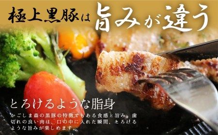 「かごしま森の黒豚」 鉄板焼きセット　小分け 966-2