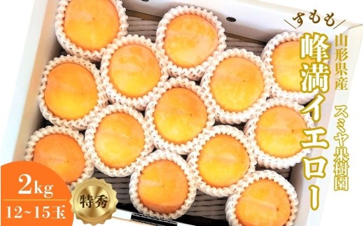 すもも（峰満イエロー）２ｋｇ　特秀品　0047-2608