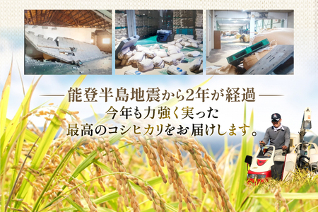 米 定期便 能登米 こしひかり 5kg ×6回[38601130] 米