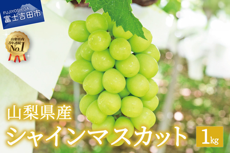 【2025年先行予約】数量限定！山梨県産シャインマスカット約1㎏（2房） シャインマスカット 数量限定 2房 約1kg 山梨県産 フルーツ 果物 2025年 シャイン 先行予約 旬 ぶどう 高級  山梨 富士吉田