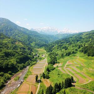 令和7年産 先行予約 新潟県上越市名立区産 コシヒカリ 棚田米 「灘立銀嶺米 光」  30kg 6か月定期便 上越市 精米 米 コメ ブランド米