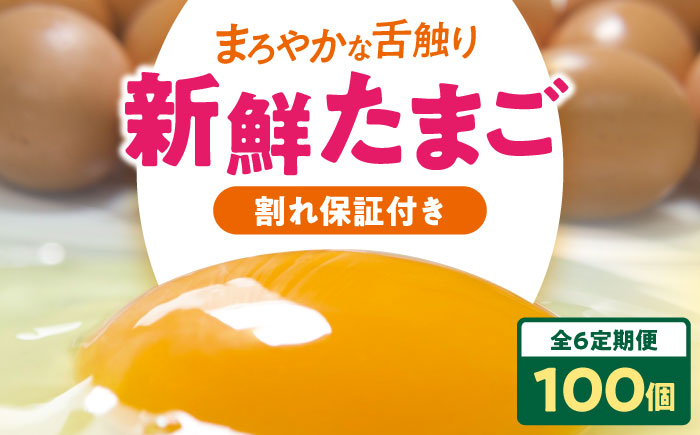 【全6回定期便】平飼い 海草たまご 10パック（100個入り）割れ保証あり 愛媛県大洲市/和田養鶏場 卵 たまご 鶏卵 卵料理 玉子 [AGDQ015]