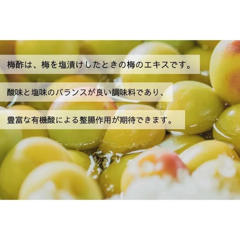 【梅ボーイズ】無添加 紀州南高梅の梅酢 各500ml 梅チューブセット（塩・紫蘇）各140g 天日塩使用 【umehkr025】