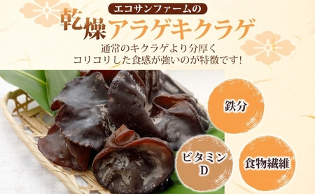 乾燥スライスしいたけ40gと乾燥きくらげ30g セット 干ししいたけ 干しきくらげ 乾物 食物繊維 国産 お取り寄せ グルメ こだわり 簡単調理 ビタミン きのこ ヘルシー 送料無料 埼玉県 蓮田市
