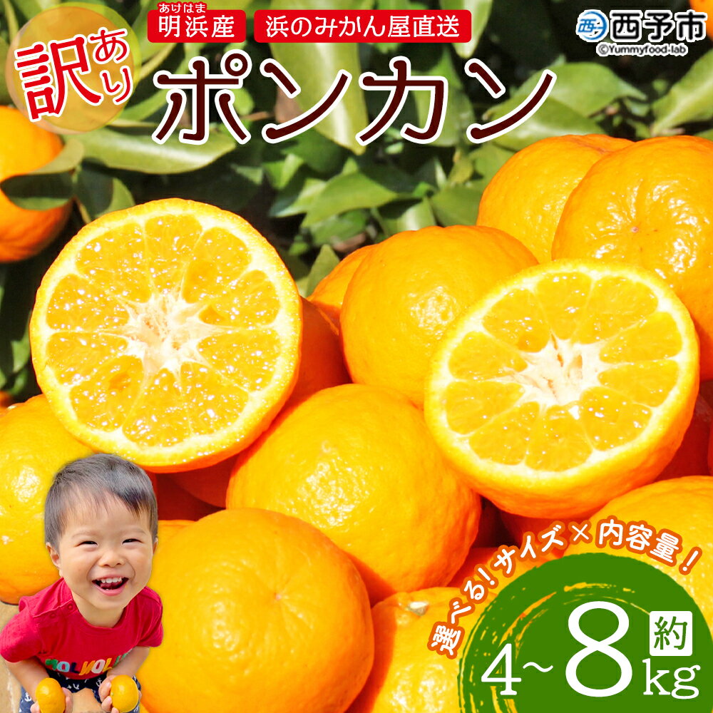 【ふるさと納税】＜訳あり ポンカン 約4kg / 8kg＞ 選べるサイズ 大きい 大玉 小さい 小玉 中玉 食べやすい ぽんかん 家庭用 果物 フルーツ おいしい 甘い 柑橘類 明浜産 あけはま ご自宅用 浜のみかん屋 愛媛県 西予市【常温】『2026年1月下旬～2月中旬迄に順次出荷』