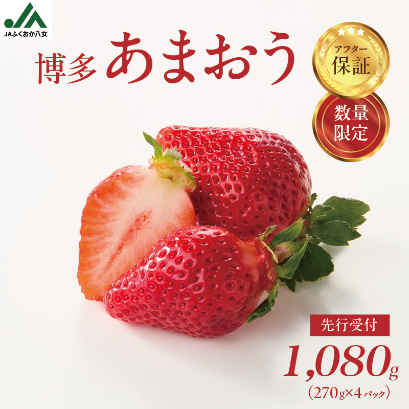 【2026年2月発送開始】博多あまおうＧ270g×4パック｜ＪＡふくおか八女 あまおう いちご 苺 イチゴ フルーツ 果物 くだもの 人気 旬 福岡県産 大粒 アフター補償 数量限定 期間限定 産地直送 グランデ 福岡県 八女市