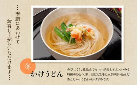 【氷見うどん】海津屋 食べ比べ2種セット（細麺・餅めん）| 手延べ 乾麺 うどん 細麺
